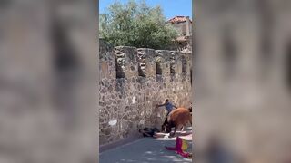 Man Gored By Bull In Spain