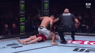 Brutal knee k.o im ufc France