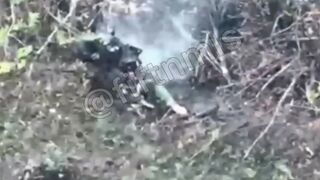 Ukrainian vs Drone