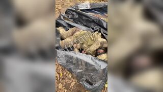 Ten corpses of Ukrainians. Destruction of Ukrainian special forces.