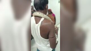 Man bitten by Russell’s Viper takes it to hospital