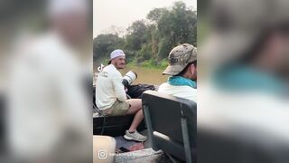Jaguar rips croc out of the water